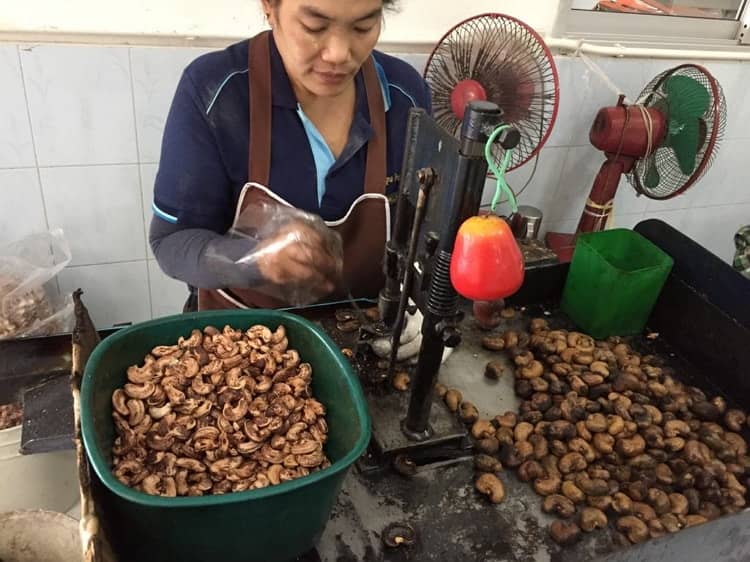 The process of taking cashews from raw
